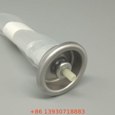 Sistema Inovador Bag-on-Valve para Sprays Aerossóis de Alimentos e Cosméticos